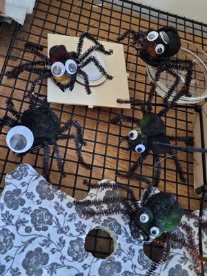 Spiders on the drying rack